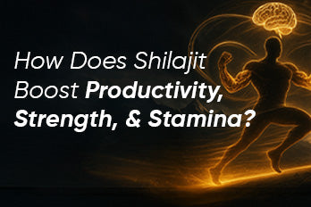 shilajit benefits
