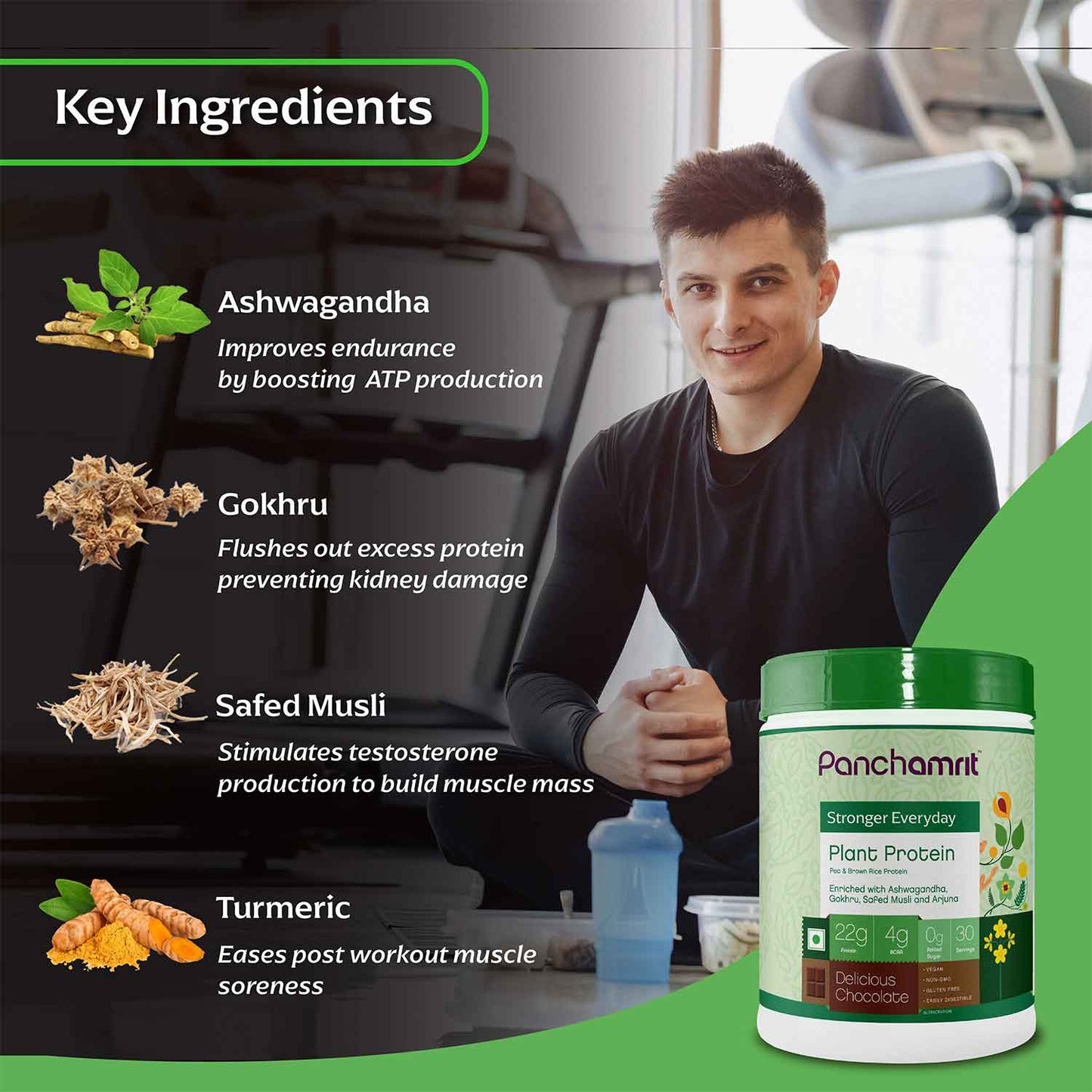 Panchamrit Plant Protein Powder with Ayurvedic Herbs | Chocolate Flavor
