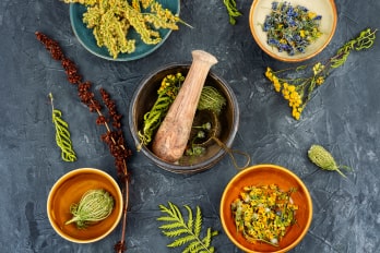 Ayurvedic Herbs 