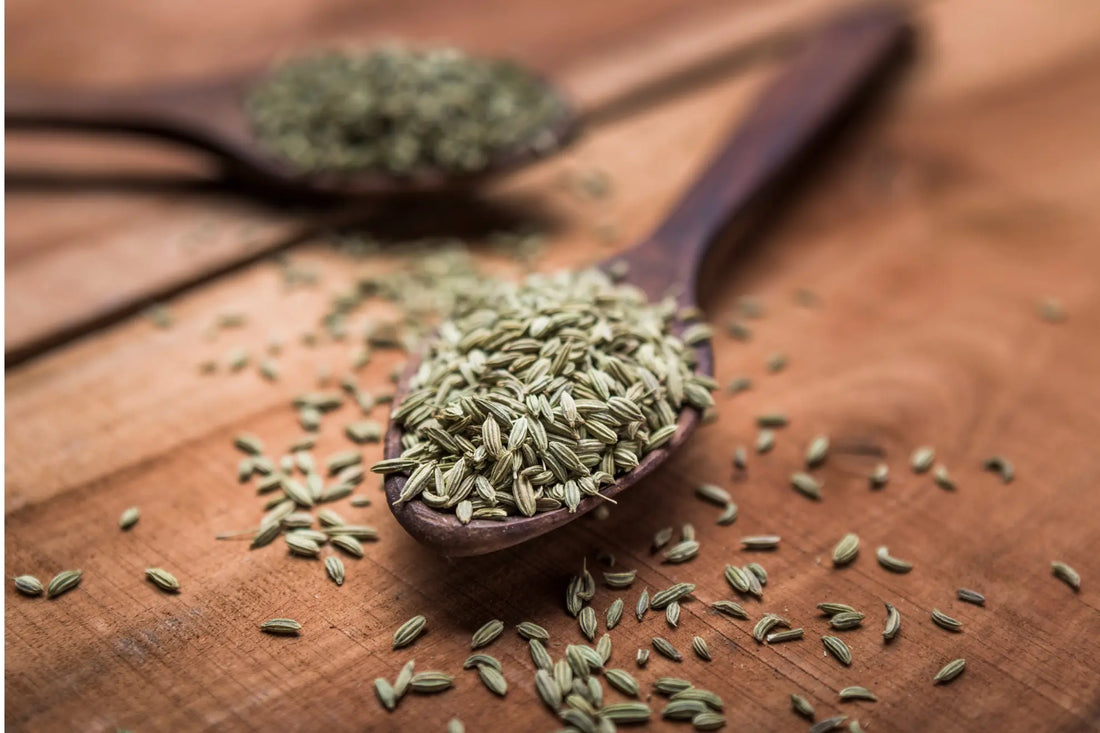 Fennel Seeds (Saunf)