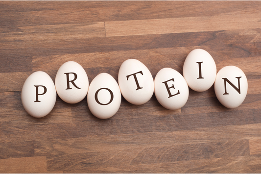 Plant vs Animal Protein: Difference Explained