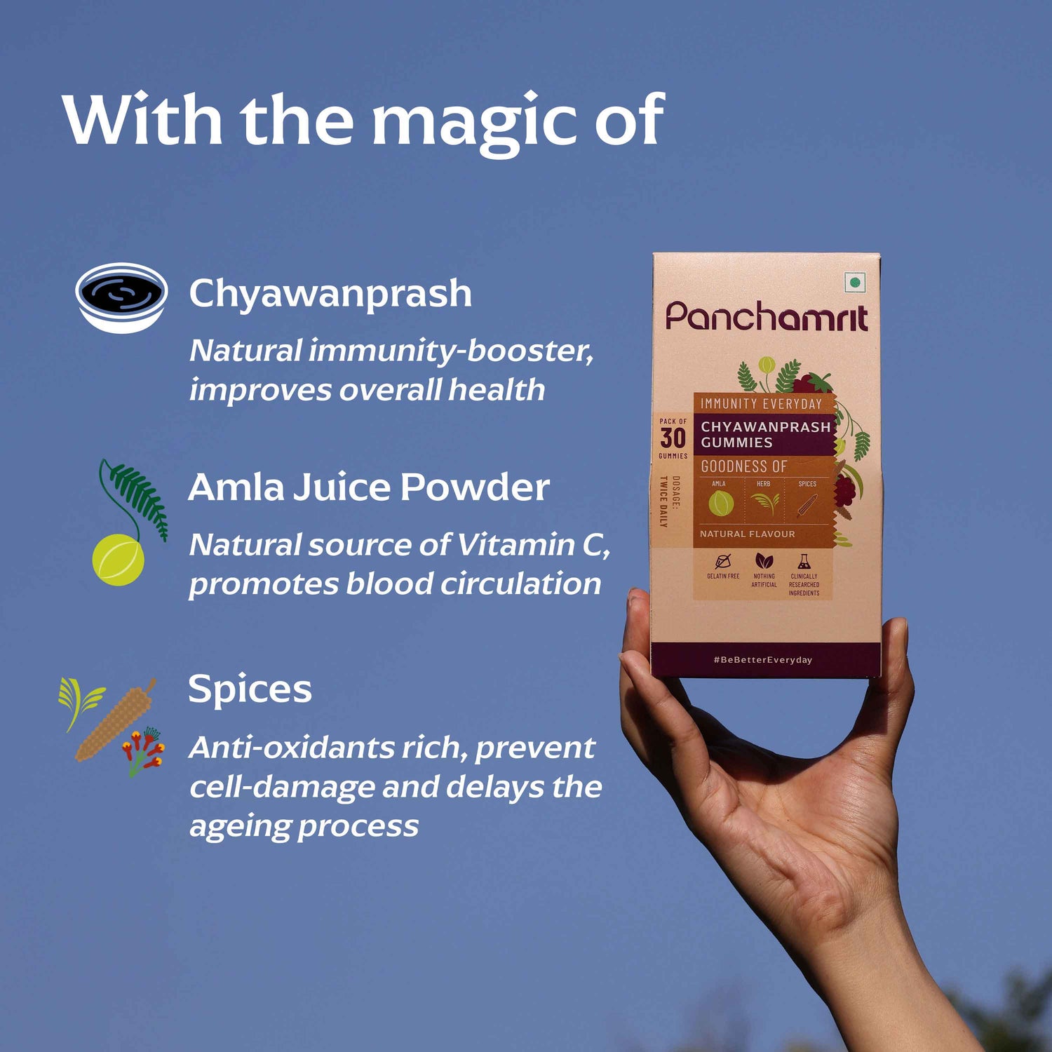 Pack of 1 | Chyawanprash Gummies | Natural Flavor