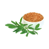 Fenugreek Seed Extract popup image