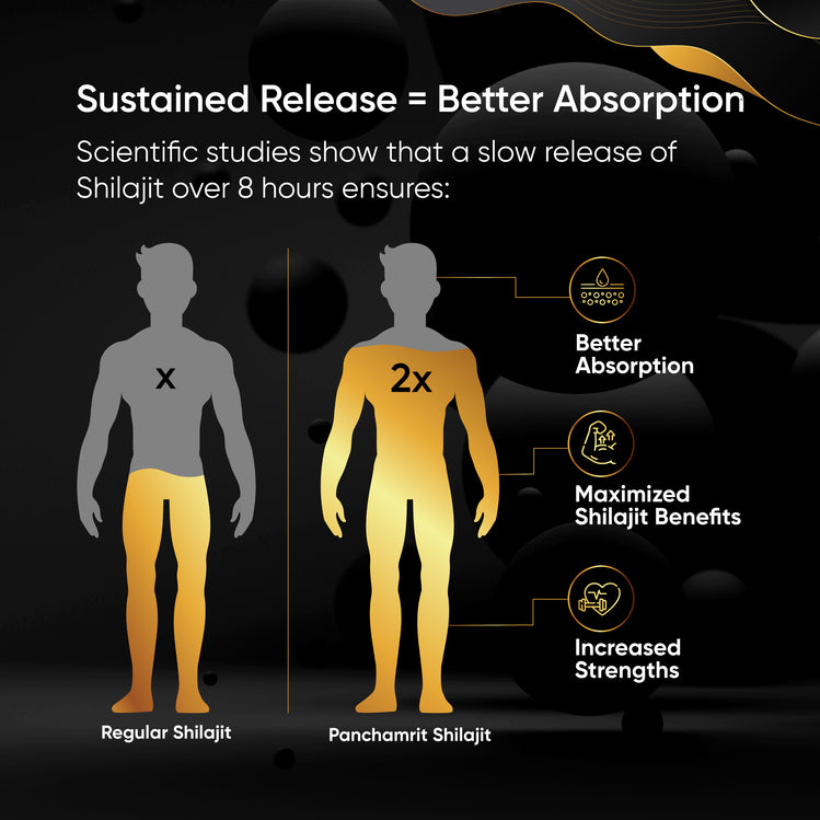 Panchamrit Himalayan Shudh Shilajit | Sustained Release Capsules