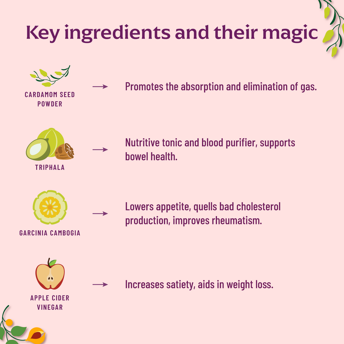 Buy Ayurveda Apple Cider Vinegar Effervescent Tablets Online in India Panchamrit