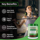 Panchamrit Plant Protein Powder  with Ayurvedic Herbs | Chocolate Flavor