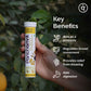 Panchamrit Gut Health Effervescent Tablets |  Zesty Lime Flavor