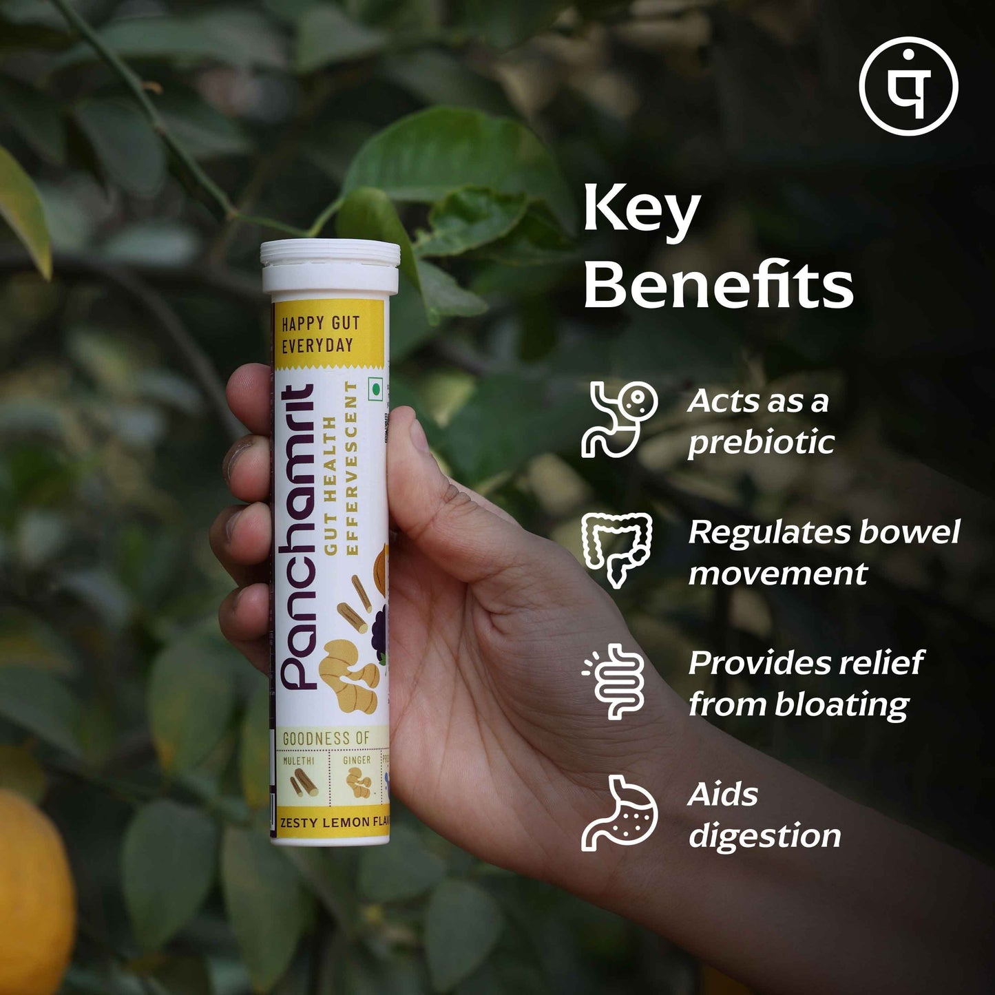 Panchamrit Gut Health Effervescent Tablets |  Zesty Lime Flavor